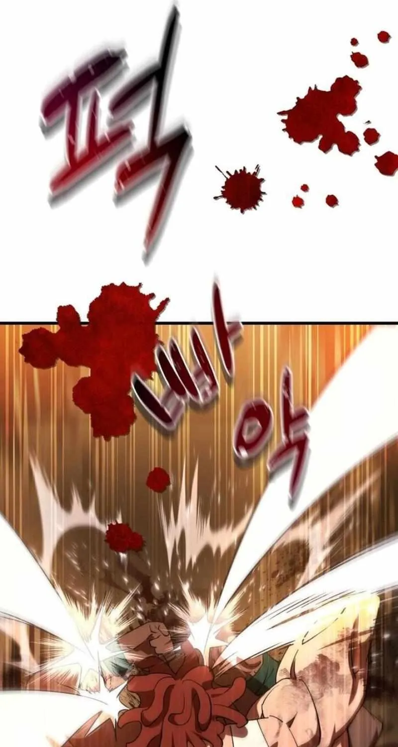 Genius Mage Who Uses Fists Chapter 6 page 17 - 