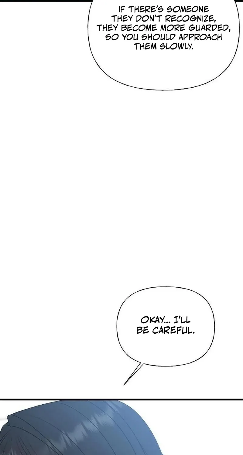 Gentle Intruder Chapter 28 page 53 - 