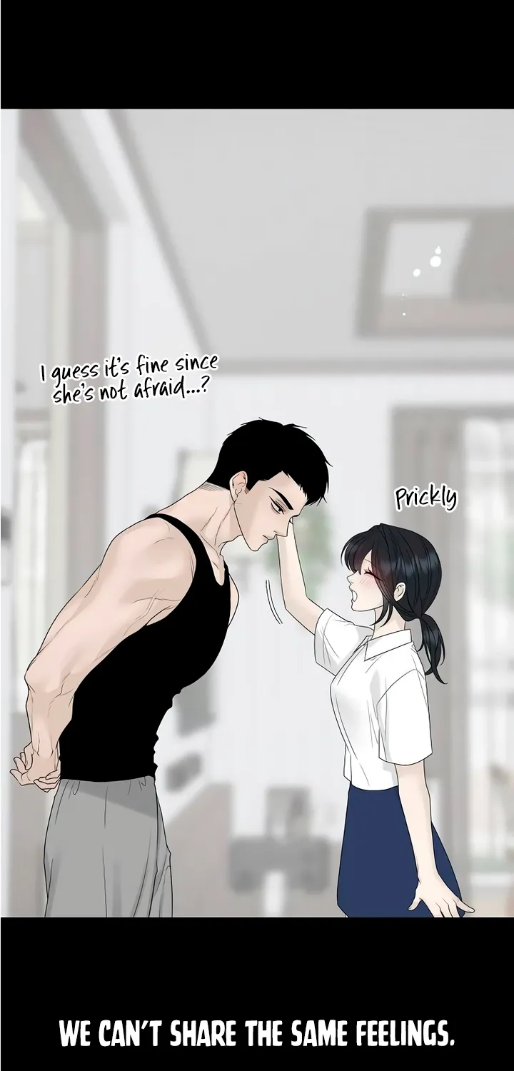 Gentle Intruder Chapter 31 page 85 - 