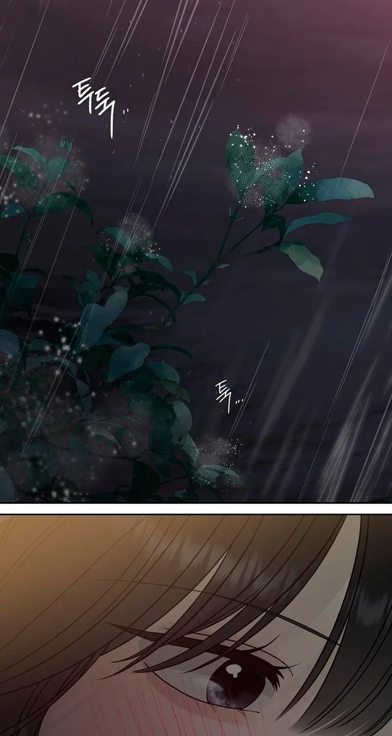 Gentle Intruder Chapter 40 page 5 - 