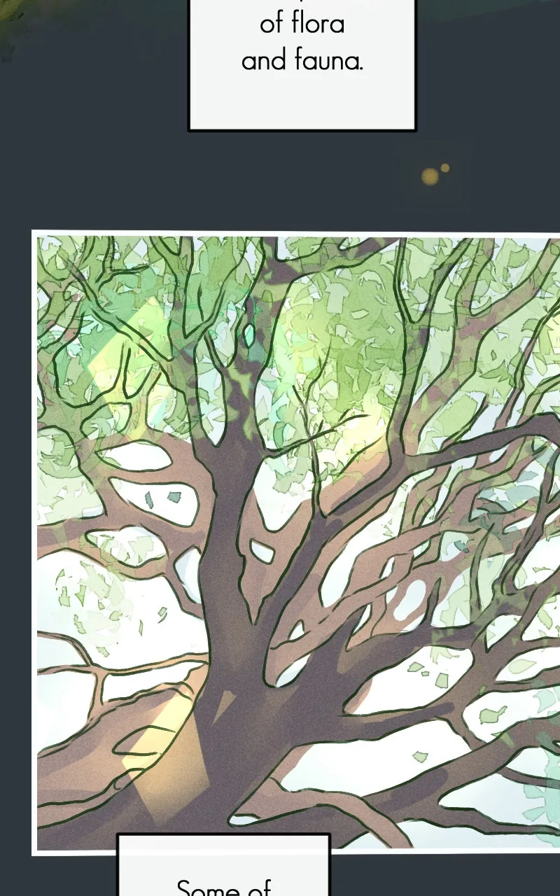 Ghost Lights Chapter 72 page 11 - 