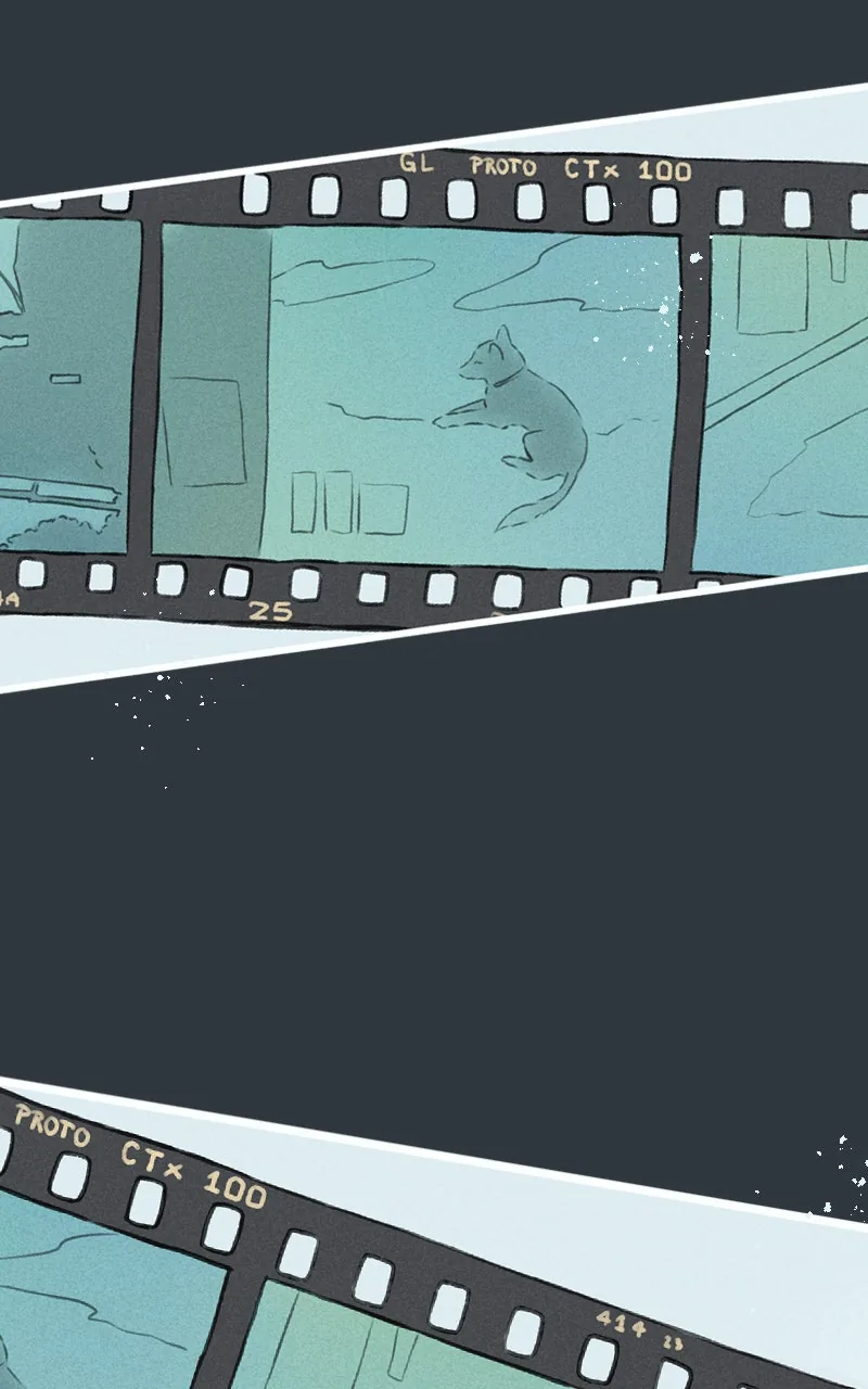 Ghost Lights Chapter 75 page 4 - 