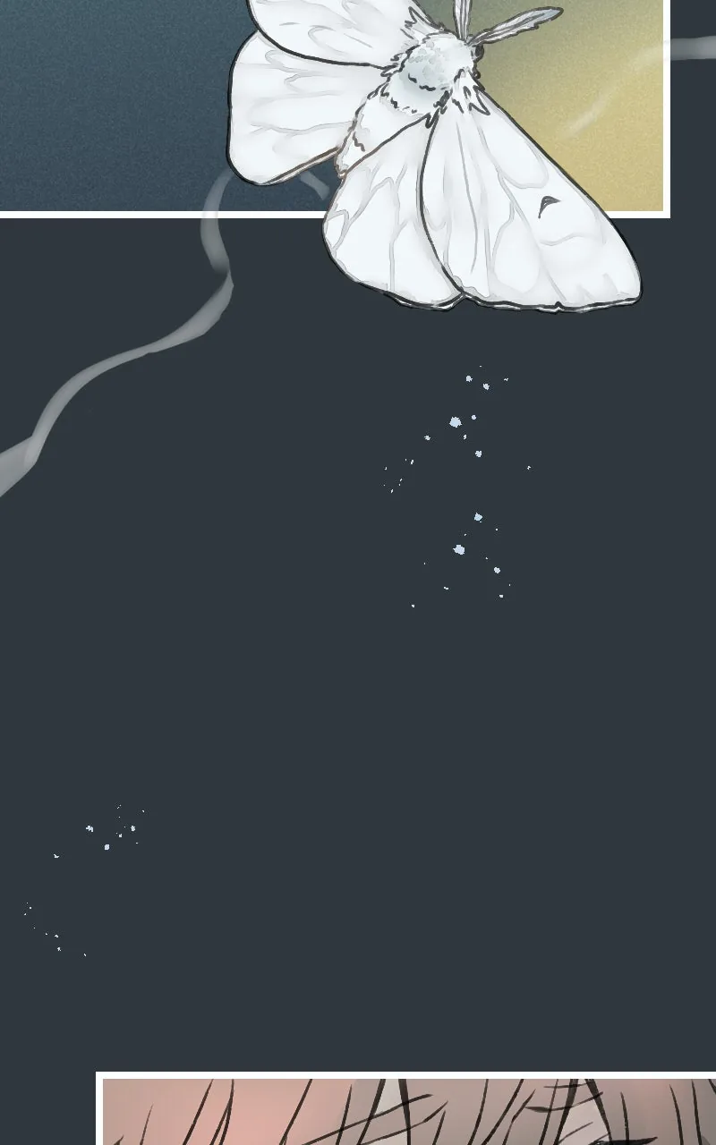 Ghost Lights Chapter 83 page 15 - 