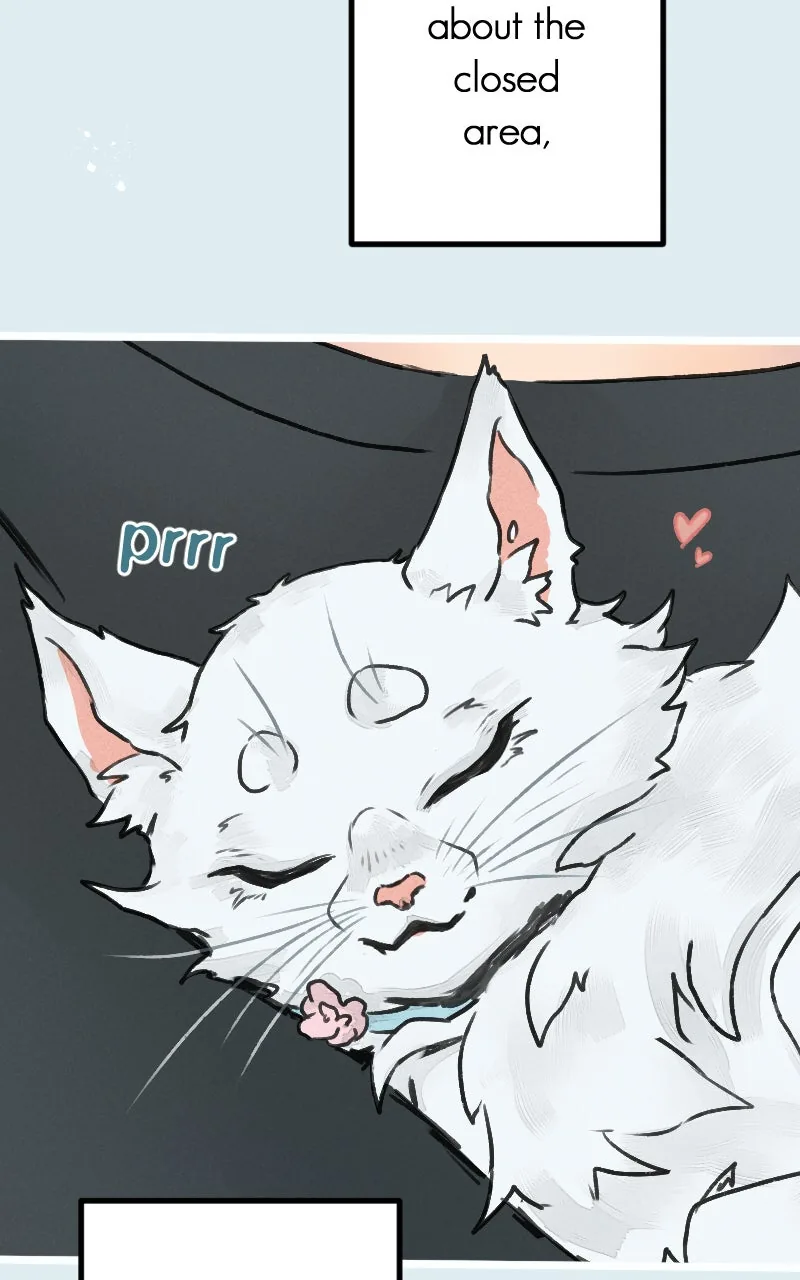 Ghost Lights Chapter 84 page 26 - 