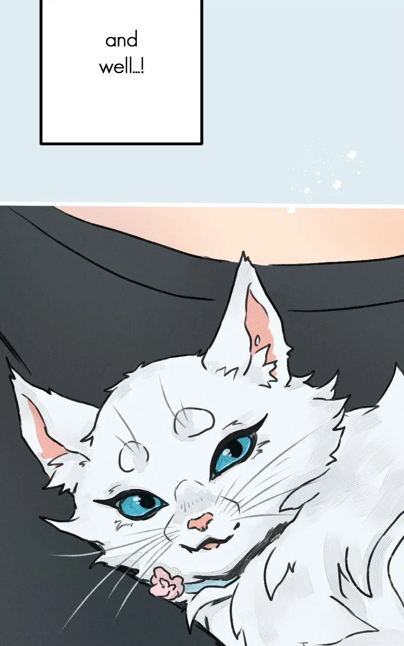 Ghost Lights Chapter 84 page 27 - 