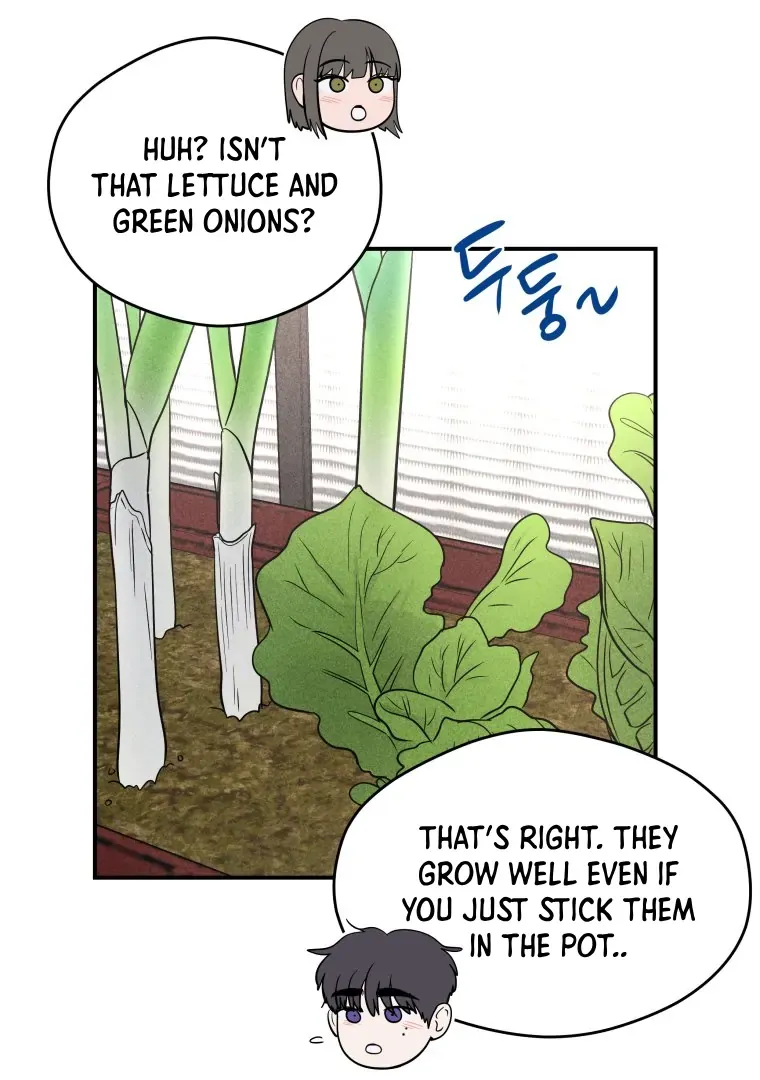 Ghost Romance Chapter 42 page 14 - 