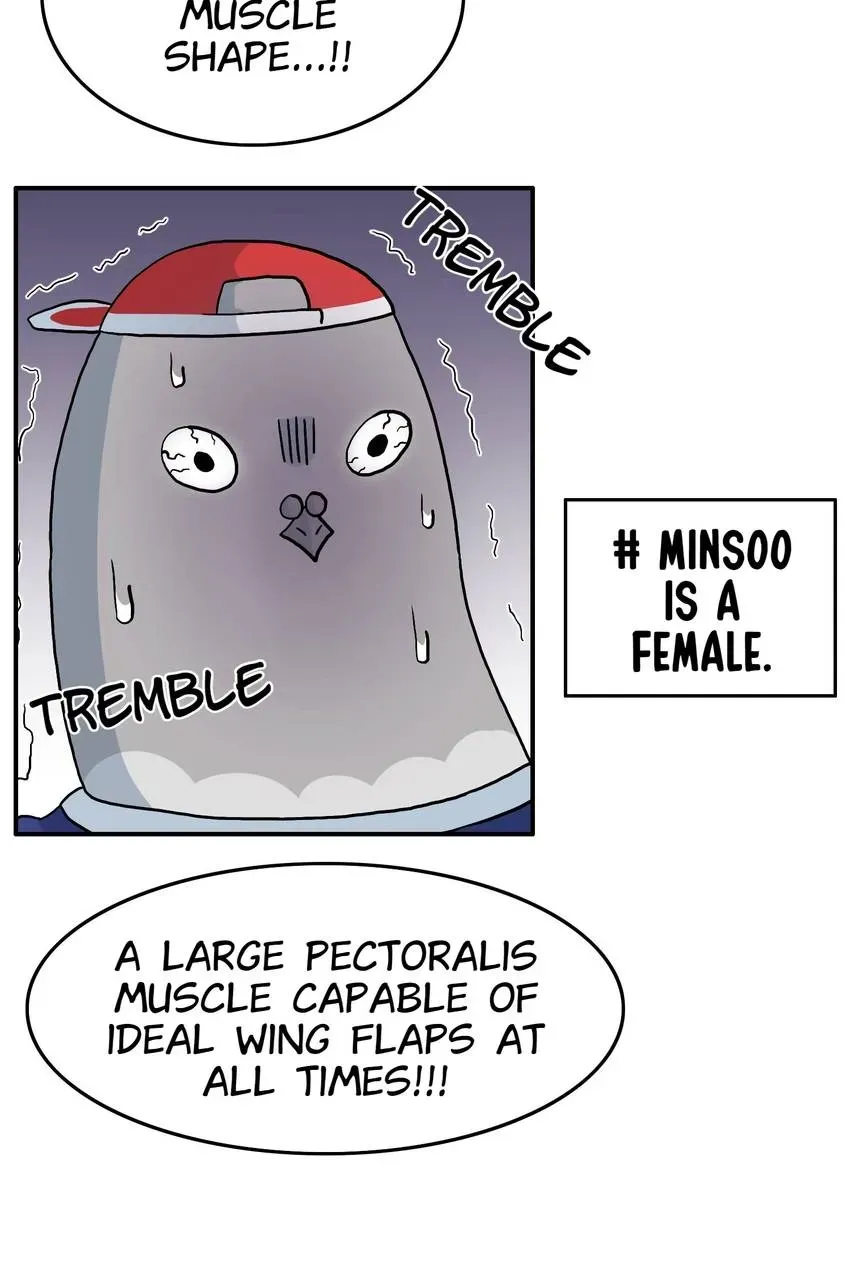 GirlS Alert Chapter 4 page 66 - 