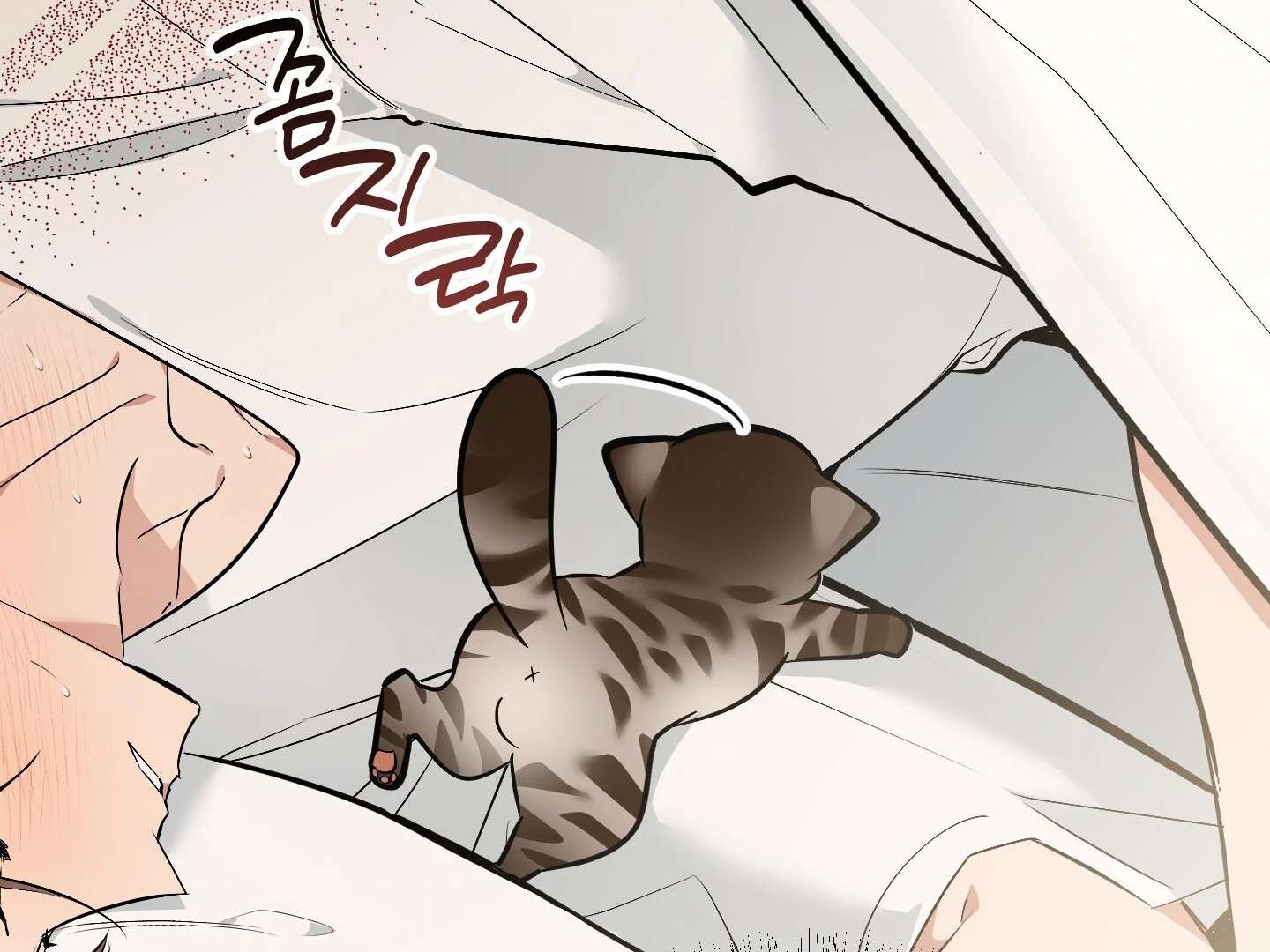 Give birth to a baby Cub, if you don’t want to see me lose my mind! Chapter 15 page 44 - 