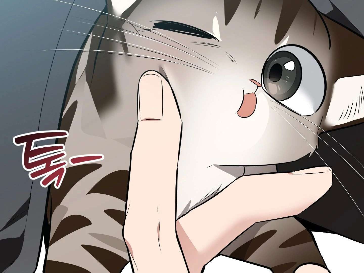 Give birth to a baby Cub, if you don’t want to see me lose my mind! Chapter 8 page 273 - 