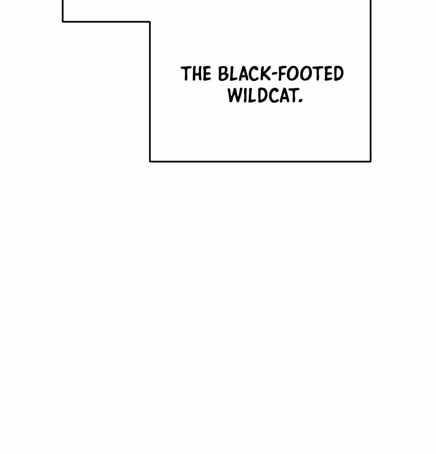 Give Birth to a Baby Wildcat for Me, Unless You Want to See Me Go Insane! Chapter 0 page 36 - 