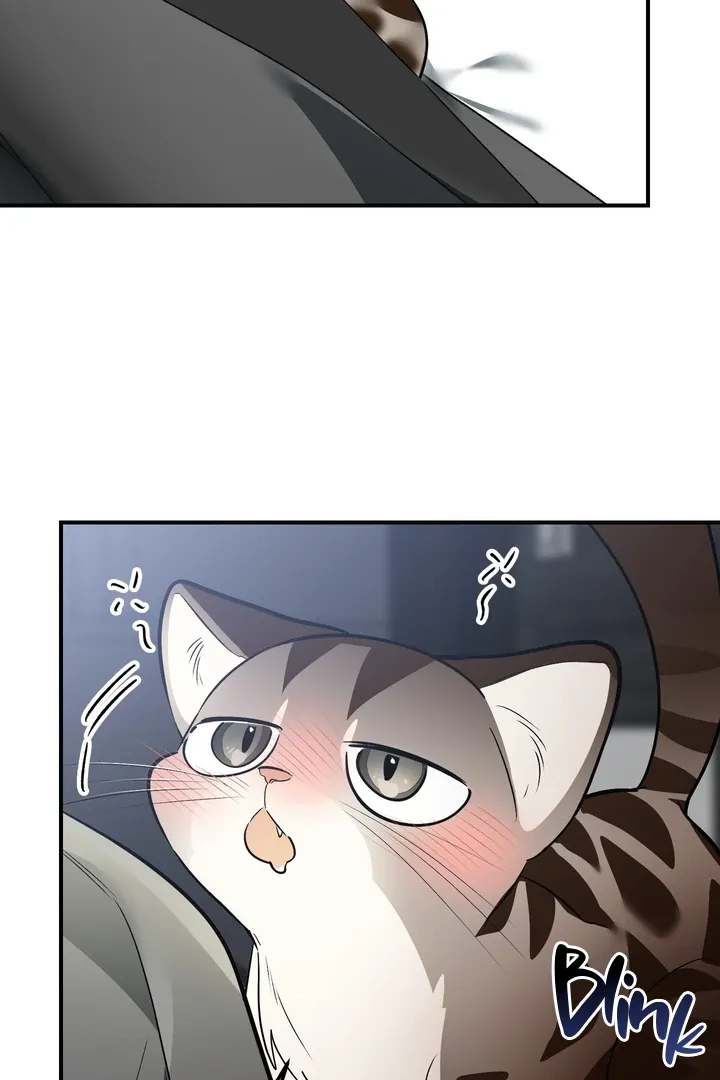 Give Birth to a Baby Wildcat for Me, Unless You Want to See Me Go Insane! Chapter 1 page 182 - 