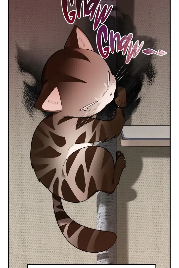 Give Birth to a Baby Wildcat for Me, Unless You Want to See Me Go Insane! Chapter 1 page 60 - 
