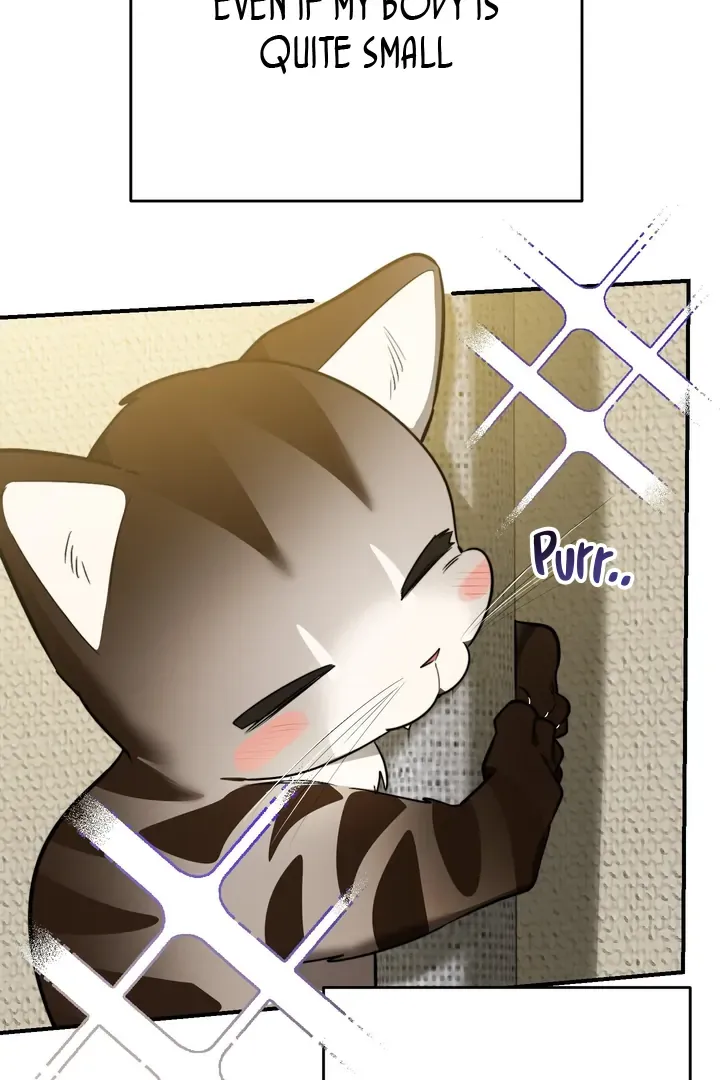 Give Birth to a Baby Wildcat for Me, Unless You Want to See Me Go Insane! Chapter 1 page 62 - 