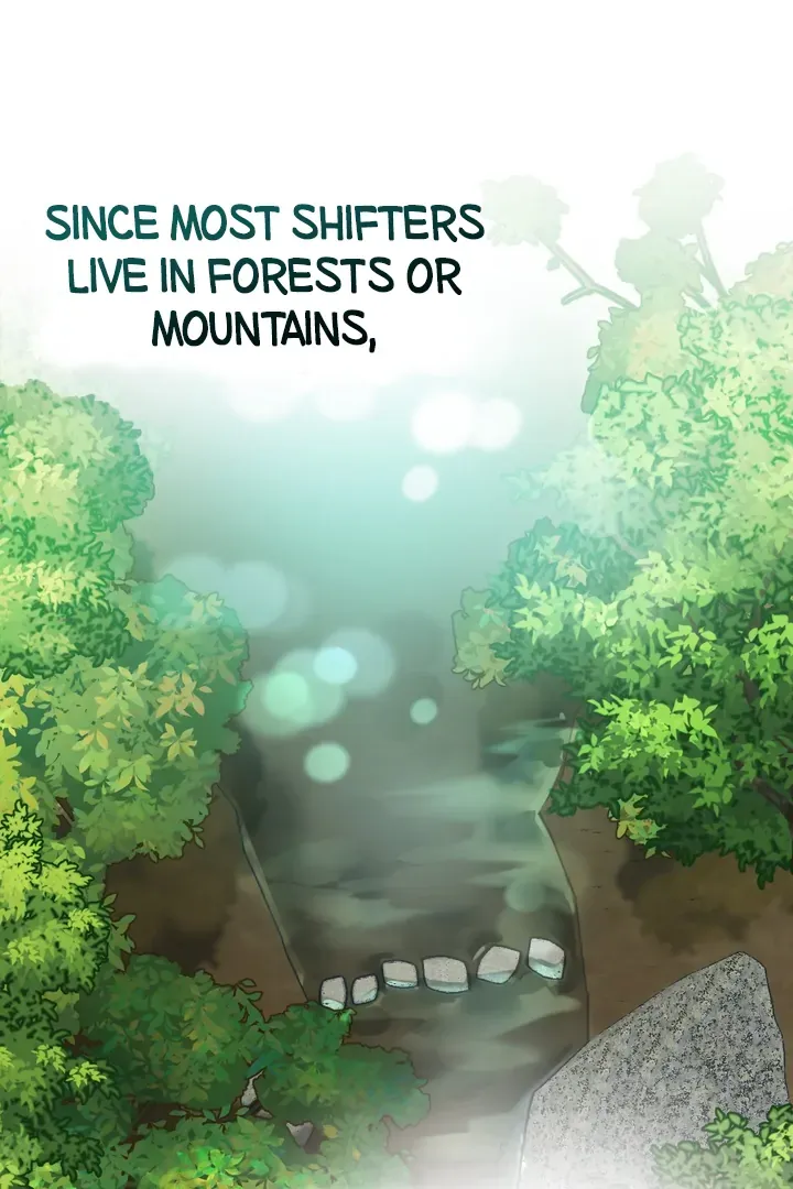 Give Birth to a Baby Wildcat for Me, Unless You Want to See Me Go Insane! Chapter 1 page 71 - 