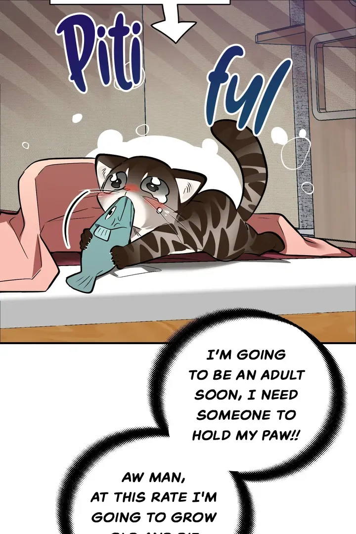 Give Birth to a Baby Wildcat for Me, Unless You Want to See Me Go Insane! Chapter 1 page 83 - 