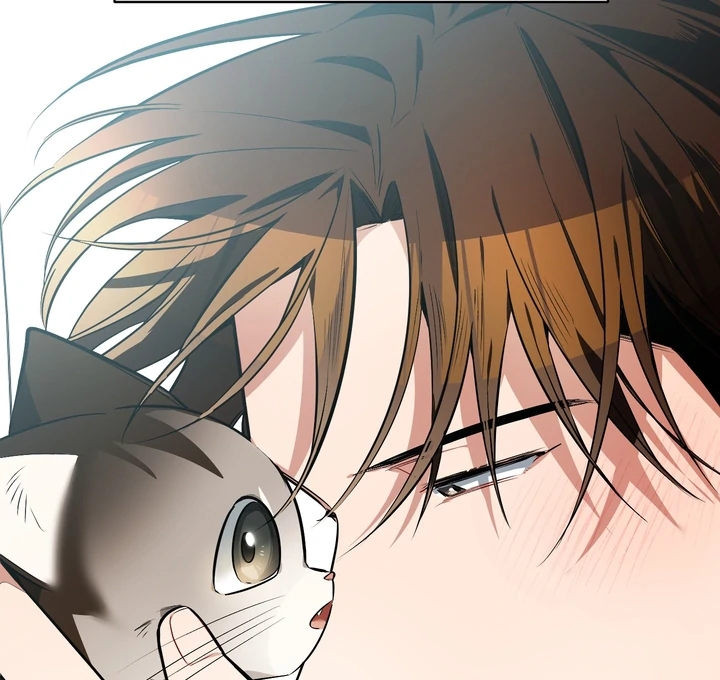 Give Birth to a Baby Wildcat for Me, Unless You Want to See Me Go Insane! Chapter 12 page 11 - 