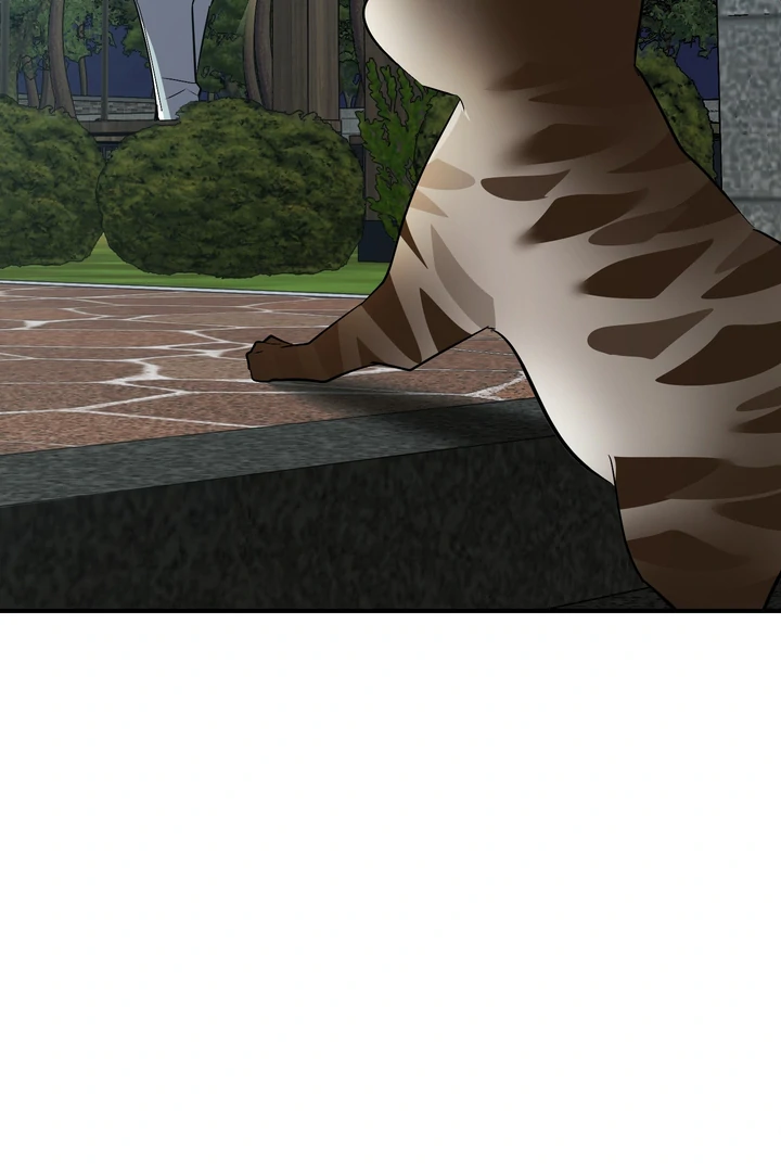 Give Birth to a Baby Wildcat for Me, Unless You Want to See Me Go Insane! Chapter 12 page 14 - 