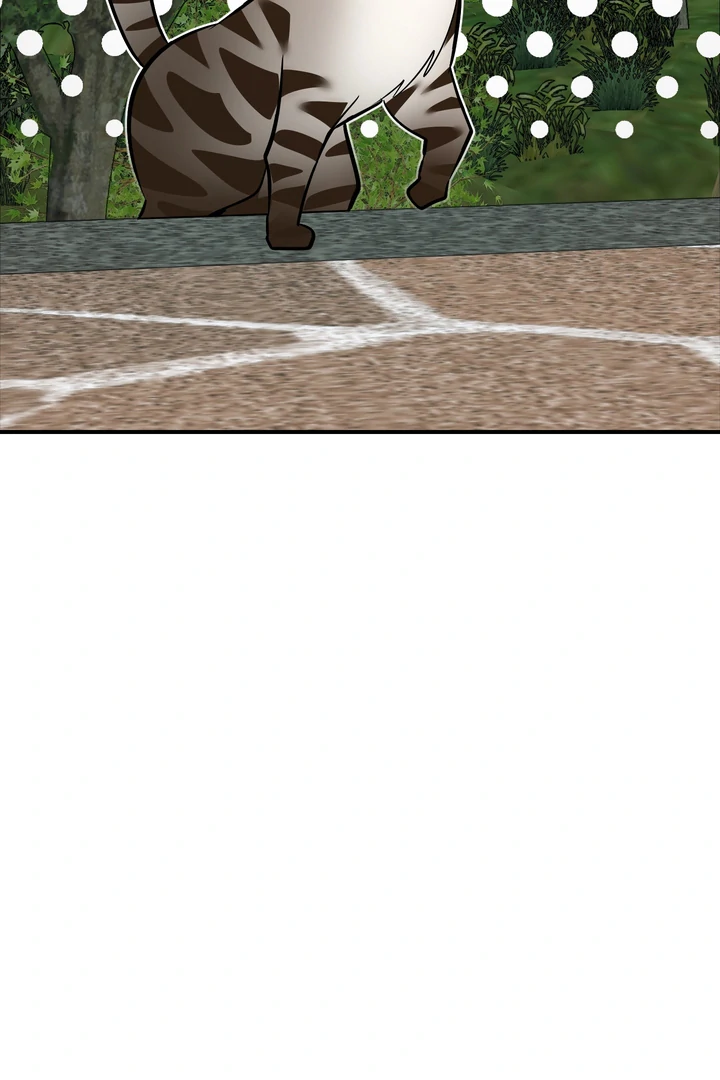 Give Birth to a Baby Wildcat for Me, Unless You Want to See Me Go Insane! Chapter 12 page 16 - 