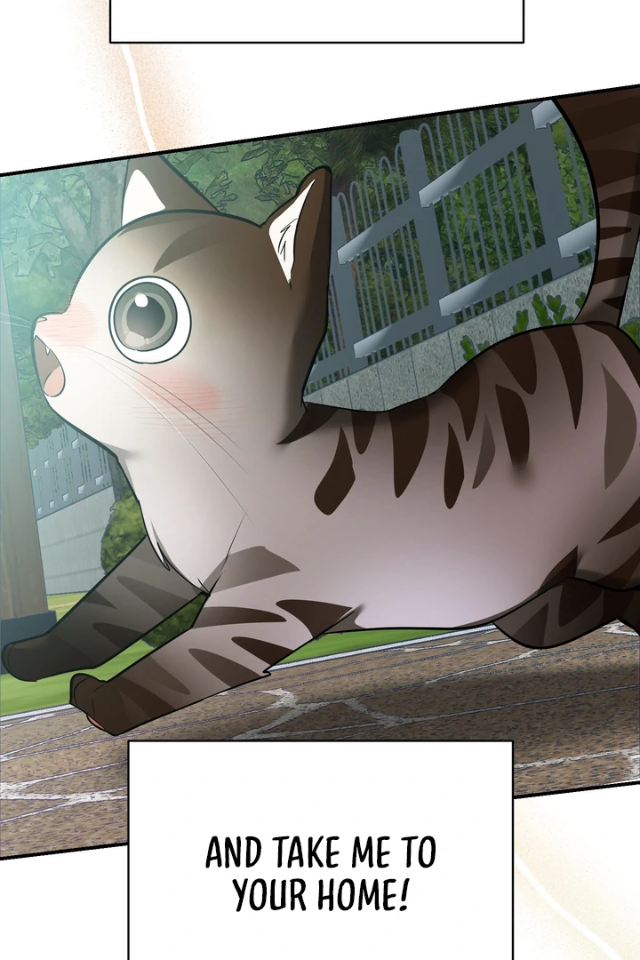 Give Birth to a Baby Wildcat for Me, Unless You Want to See Me Go Insane! Chapter 12 page 19 - 