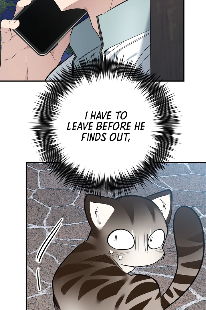 Give Birth to a Baby Wildcat for Me, Unless You Want to See Me Go Insane! Chapter 12 page 26 - 