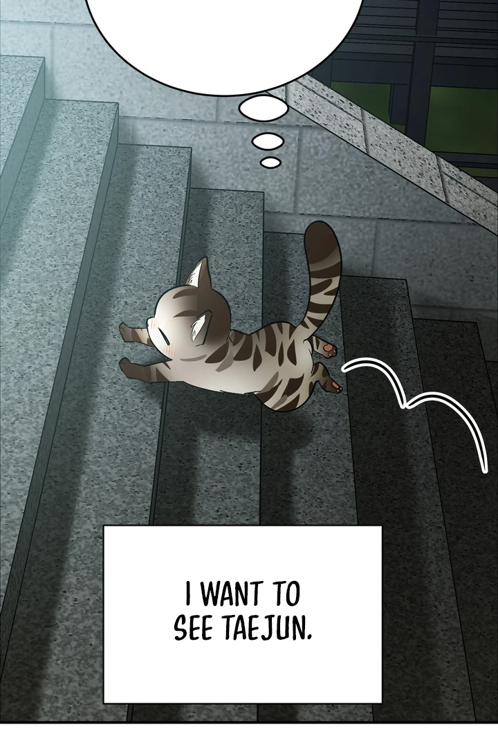 Give Birth to a Baby Wildcat for Me, Unless You Want to See Me Go Insane! Chapter 12 page 7 - 