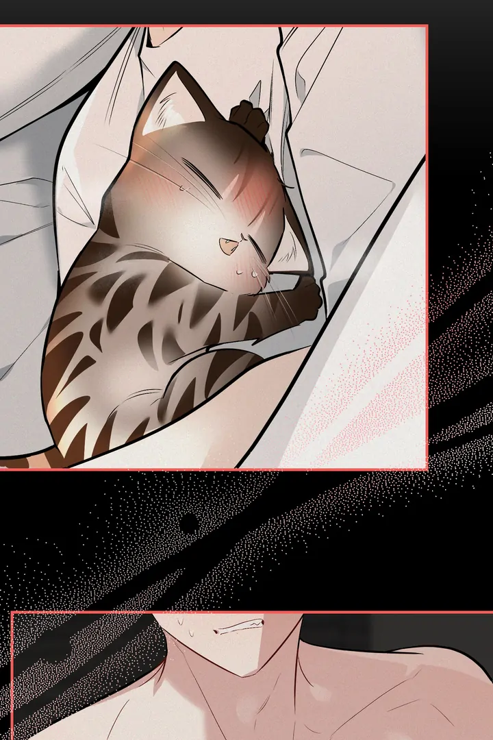 Give Birth to a Baby Wildcat for Me, Unless You Want to See Me Go Insane! Chapter 16 page 12 - 
