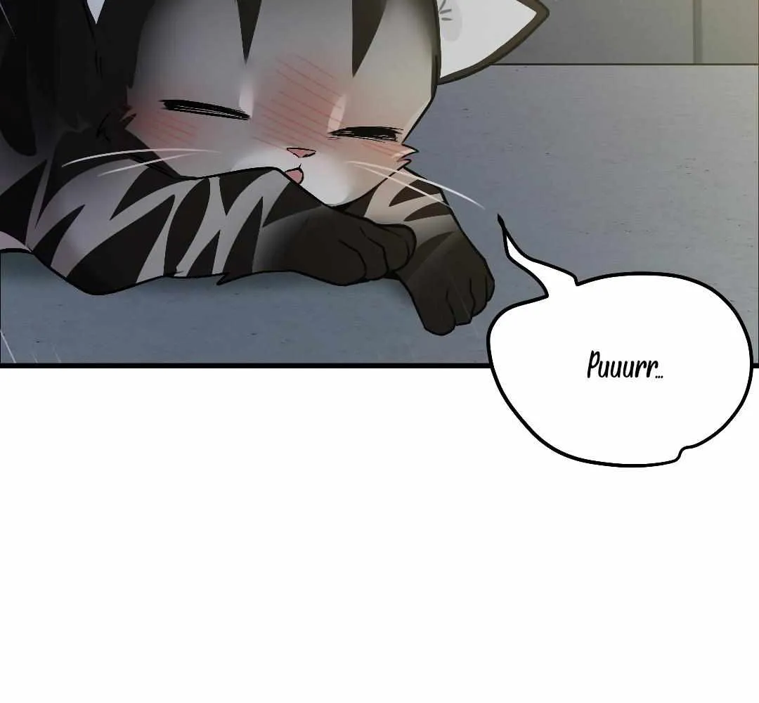 Give Birth to a Baby Wildcat for Me, Unless You Want to See Me Go Insane! Chapter 2 page 227 - 