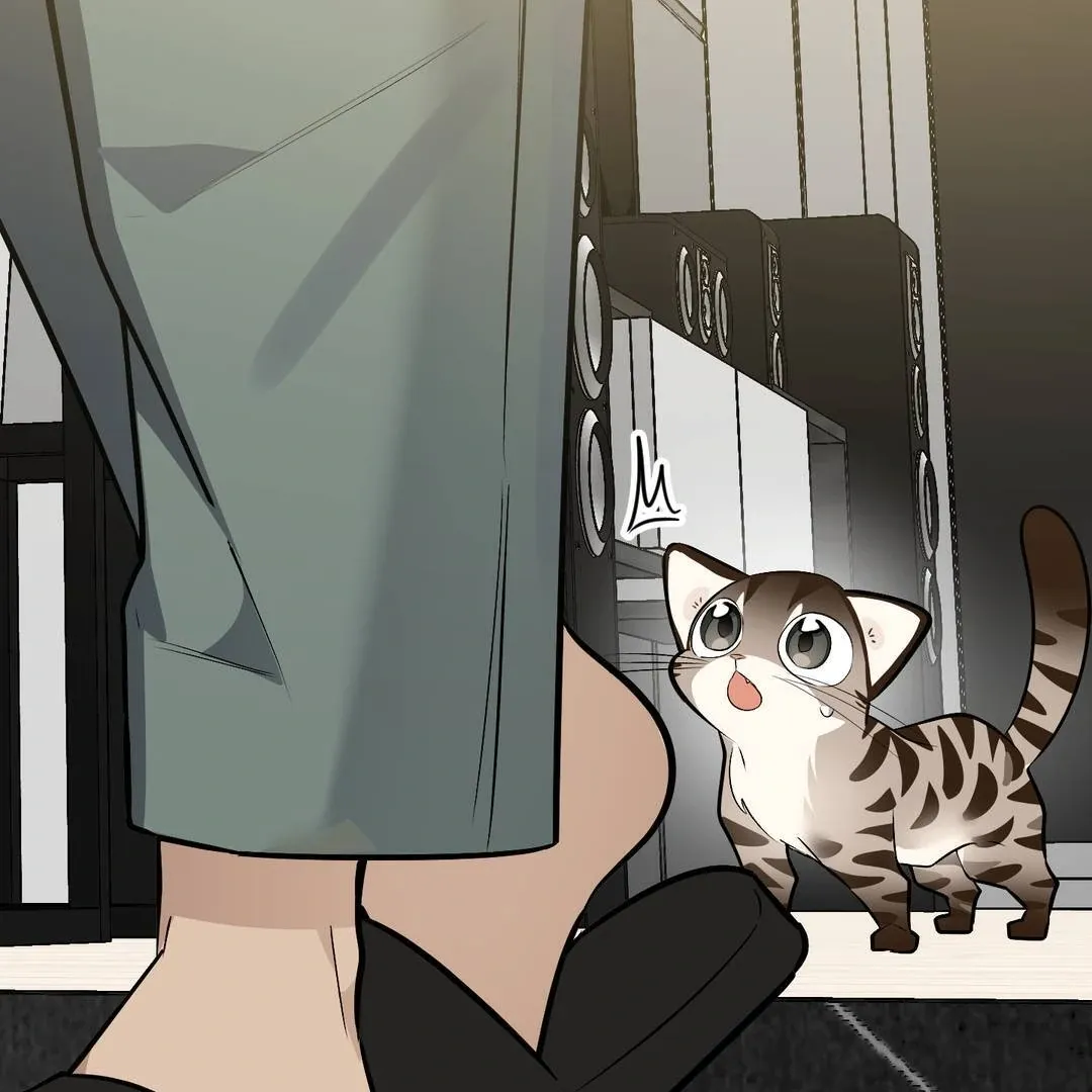 Give Birth to a Baby Wildcat for Me, Unless You Want to See Me Go Insane! Chapter 3 page 105 - 