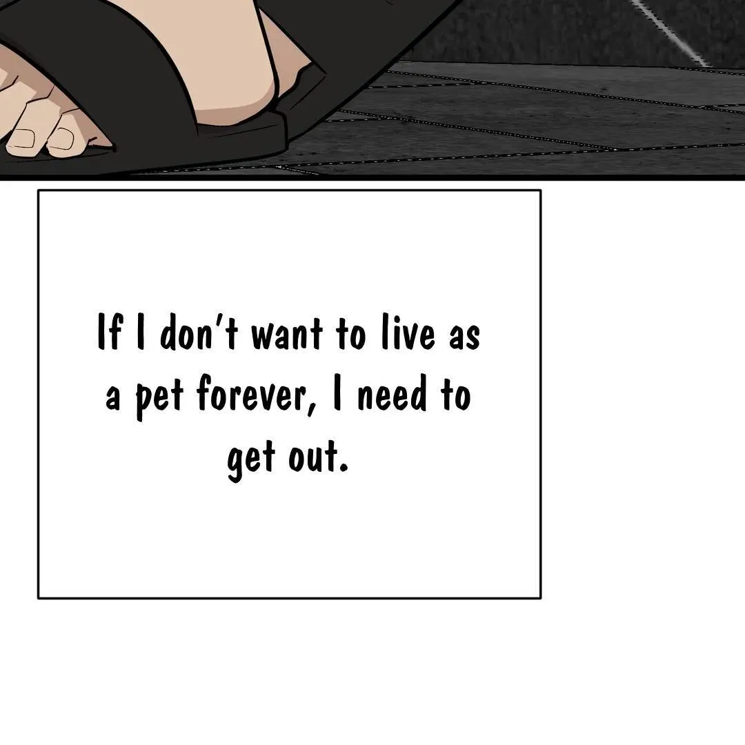 Give Birth to a Baby Wildcat for Me, Unless You Want to See Me Go Insane! Chapter 3 page 106 - 