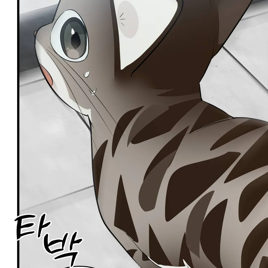 Give Birth to a Baby Wildcat for Me, Unless You Want to See Me Go Insane! Chapter 3 page 118 - 