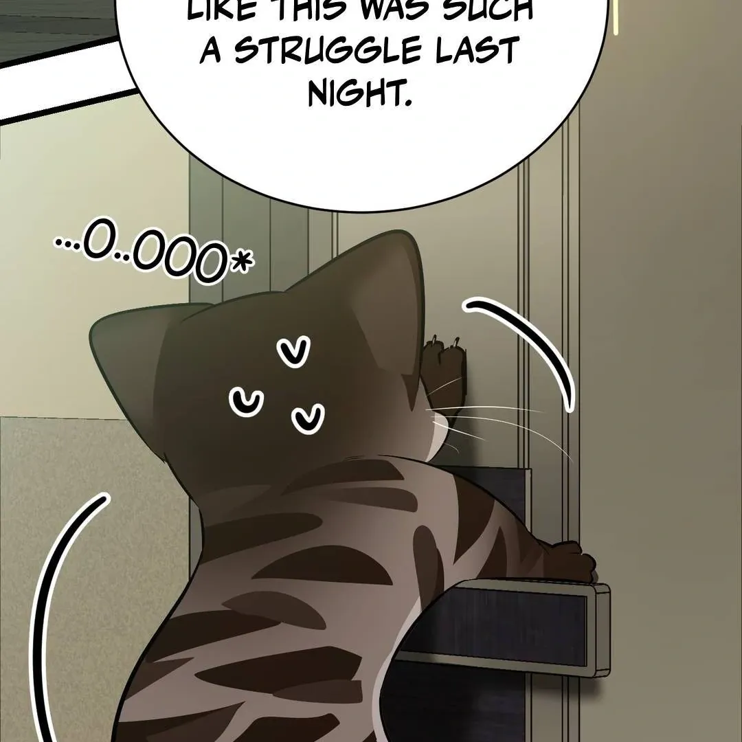 Give Birth to a Baby Wildcat for Me, Unless You Want to See Me Go Insane! Chapter 3 page 146 - 