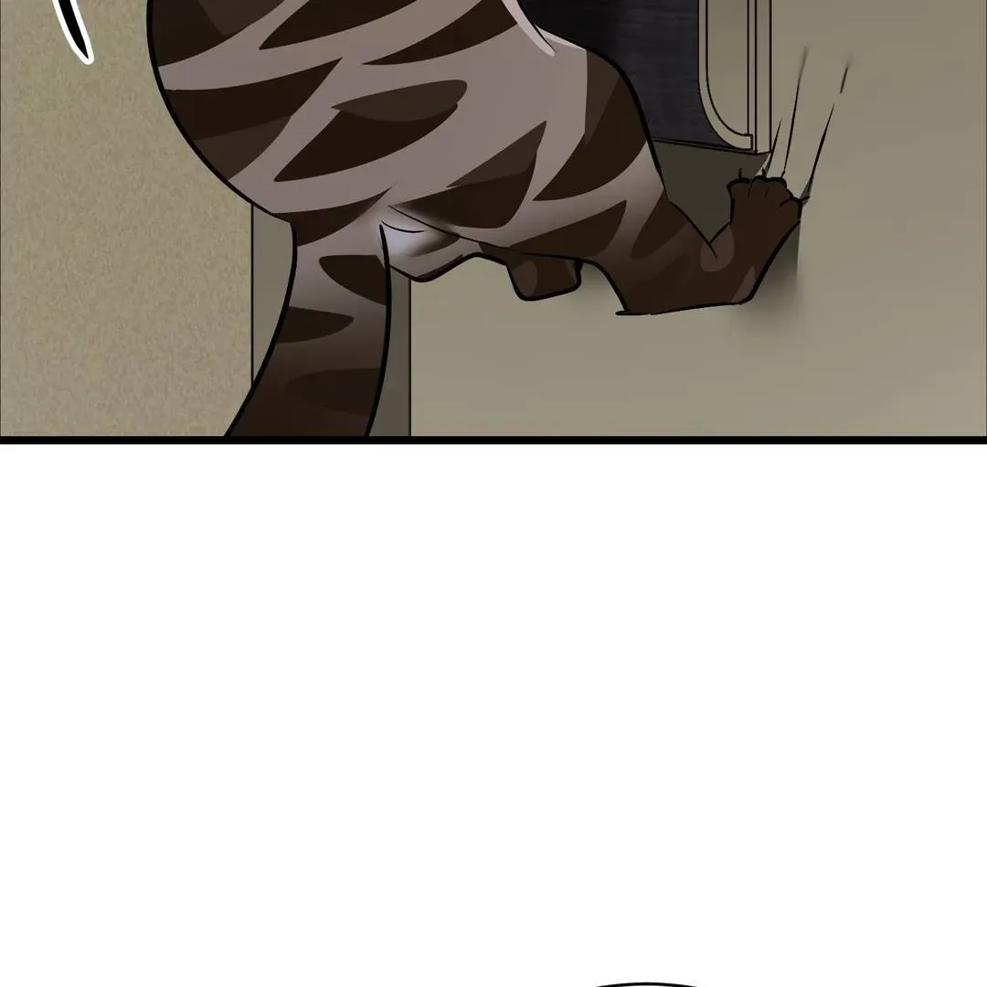 Give Birth to a Baby Wildcat for Me, Unless You Want to See Me Go Insane! Chapter 3 page 147 - 