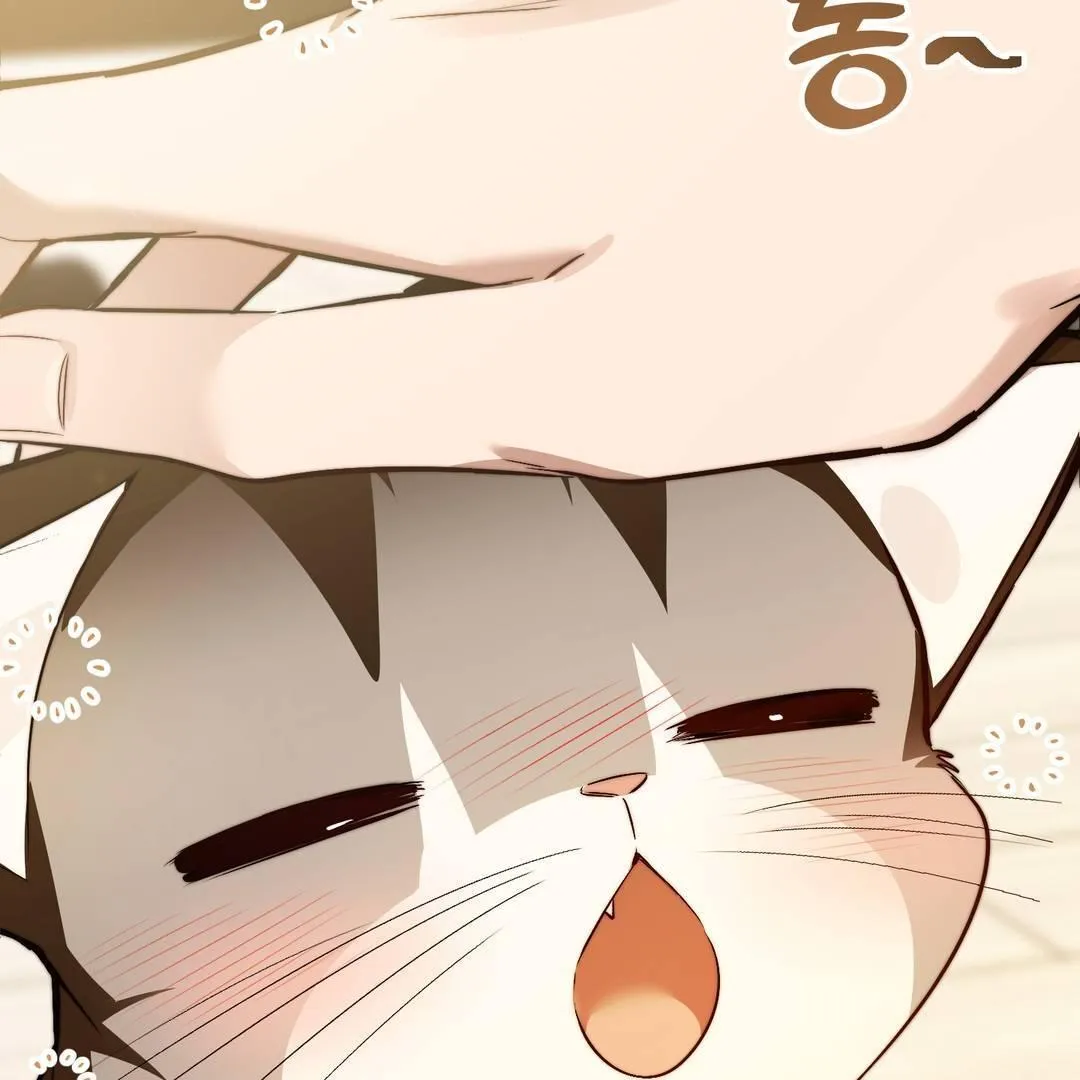 Give Birth to a Baby Wildcat for Me, Unless You Want to See Me Go Insane! Chapter 3 page 18 - 