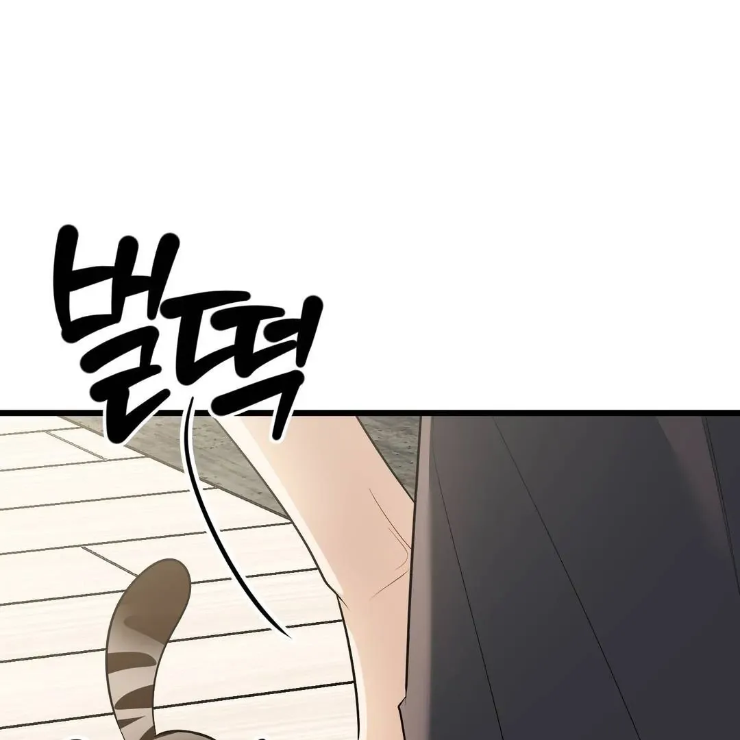 Give Birth to a Baby Wildcat for Me, Unless You Want to See Me Go Insane! Chapter 3 page 30 - 