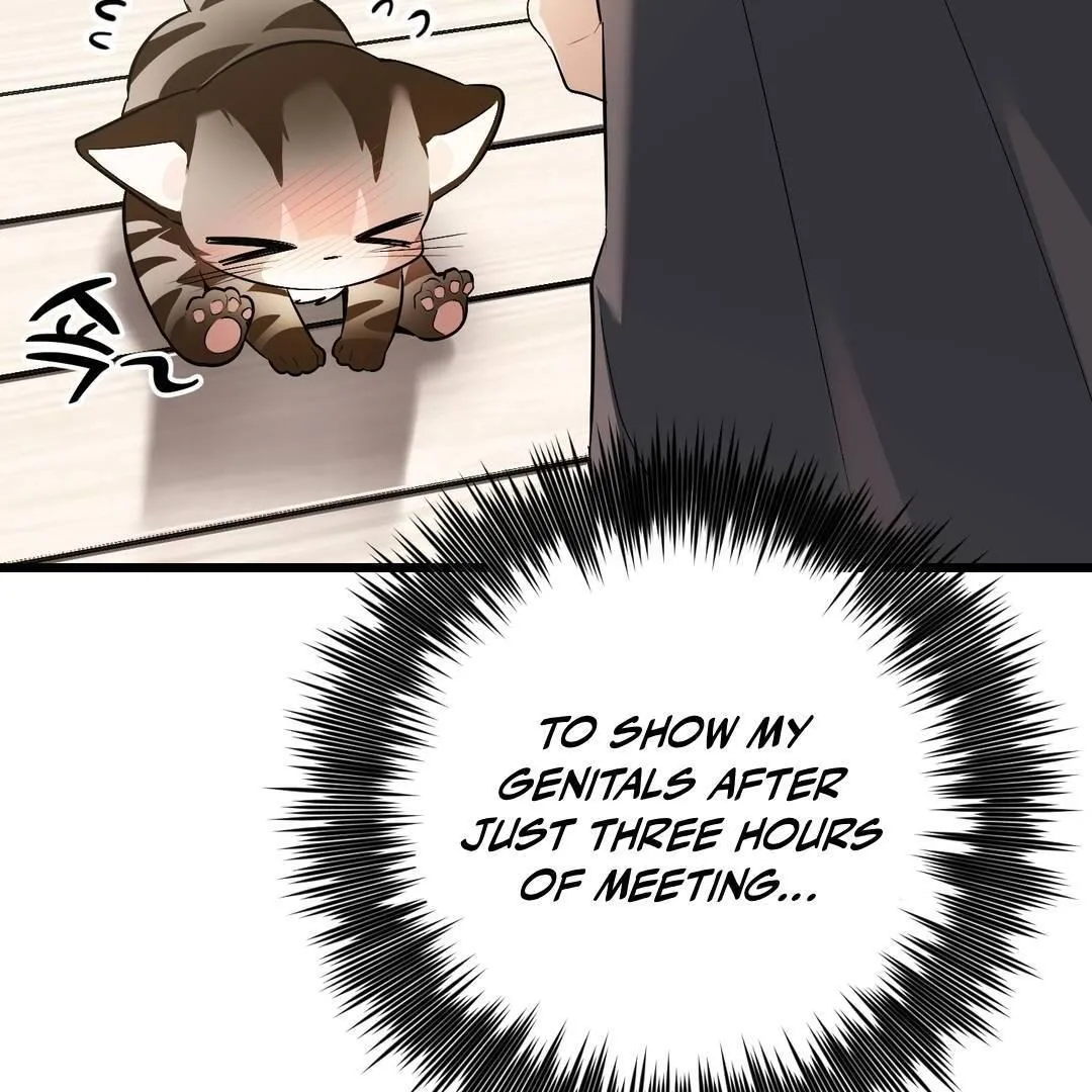Give Birth to a Baby Wildcat for Me, Unless You Want to See Me Go Insane! Chapter 3 page 31 - 