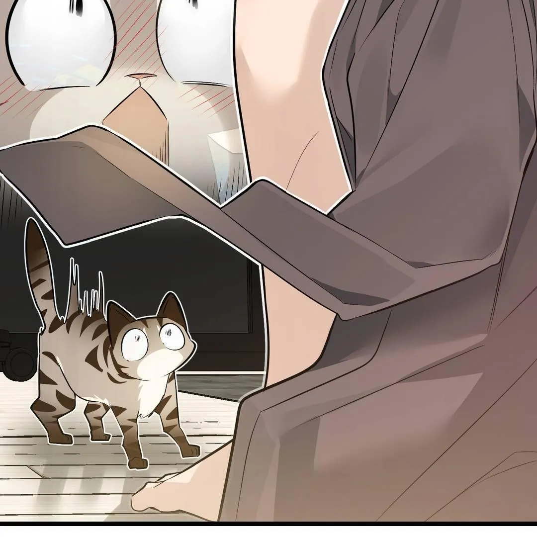 Give Birth to a Baby Wildcat for Me, Unless You Want to See Me Go Insane! Chapter 3 page 38 - 