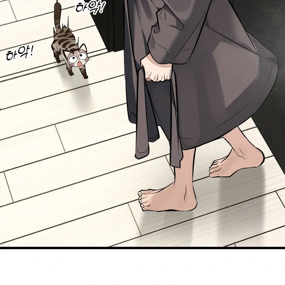 Give Birth to a Baby Wildcat for Me, Unless You Want to See Me Go Insane! Chapter 3 page 5 - 