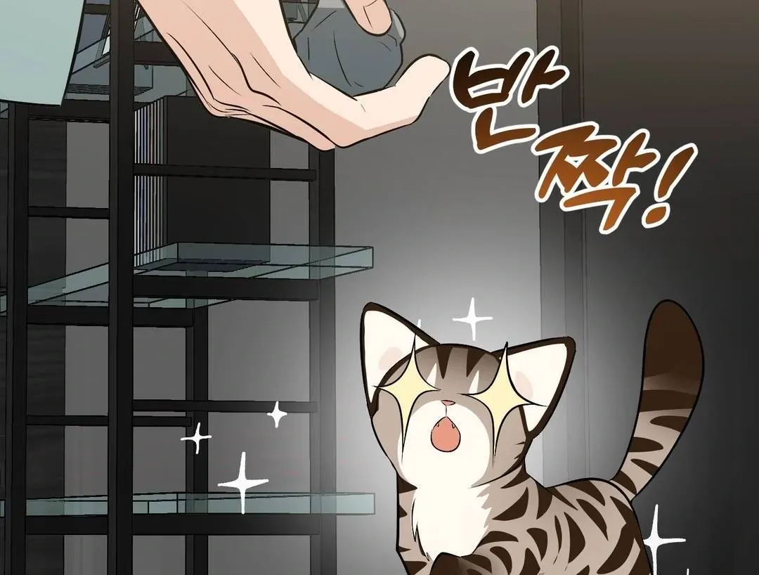 Give Birth to a Baby Wildcat for Me, Unless You Want to See Me Go Insane! Chapter 3 page 67 - 