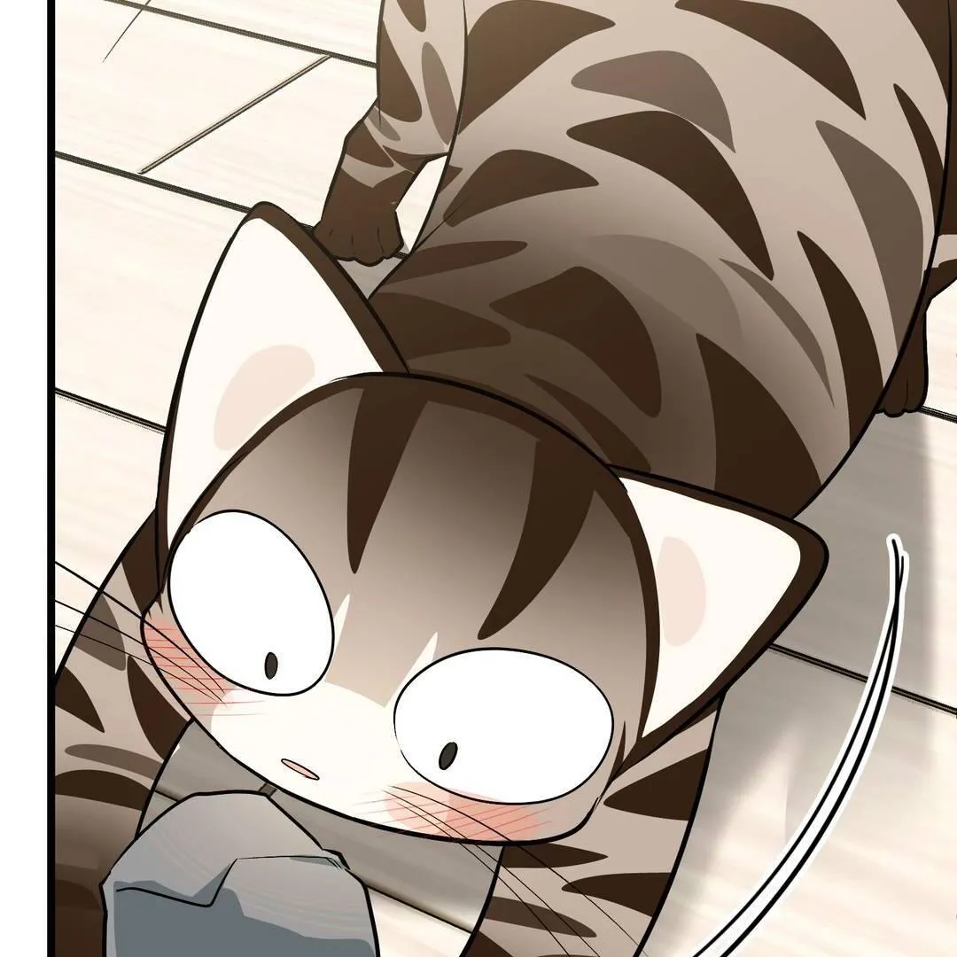 Give Birth to a Baby Wildcat for Me, Unless You Want to See Me Go Insane! Chapter 3 page 78 - 