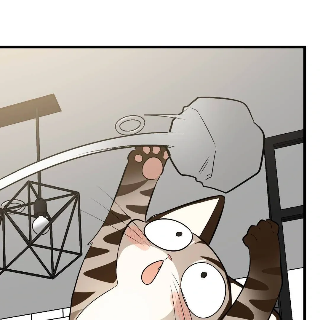 Give Birth to a Baby Wildcat for Me, Unless You Want to See Me Go Insane! Chapter 3 page 80 - 
