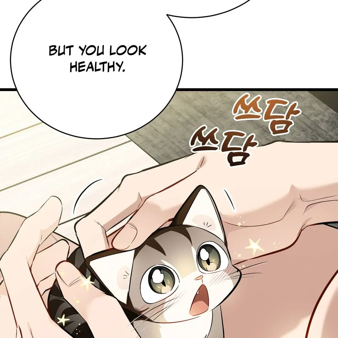Give Birth to a Baby Wildcat for Me, Unless You Want to See Me Go Insane! Chapter 3 page 10 - 