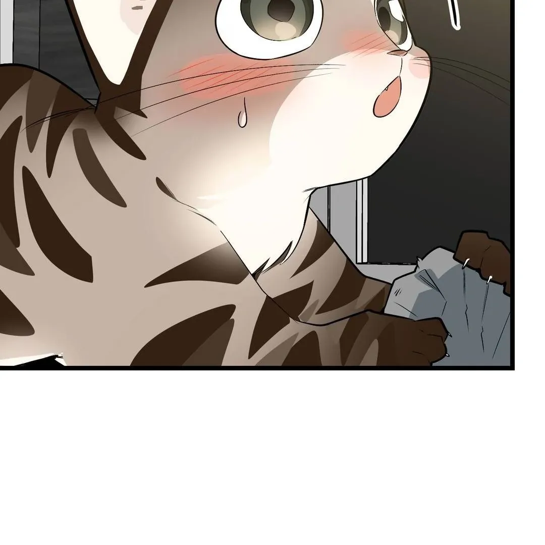 Give Birth to a Baby Wildcat for Me, Unless You Want to See Me Go Insane! Chapter 3 page 94 - 