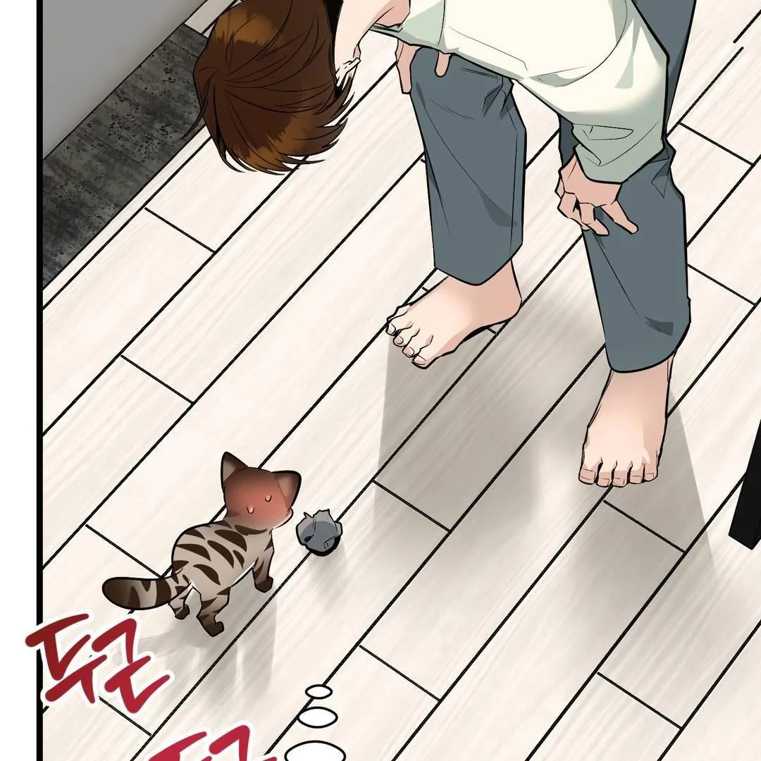 Give Birth to a Baby Wildcat for Me, Unless You Want to See Me Go Insane! Chapter 3 page 98 - 
