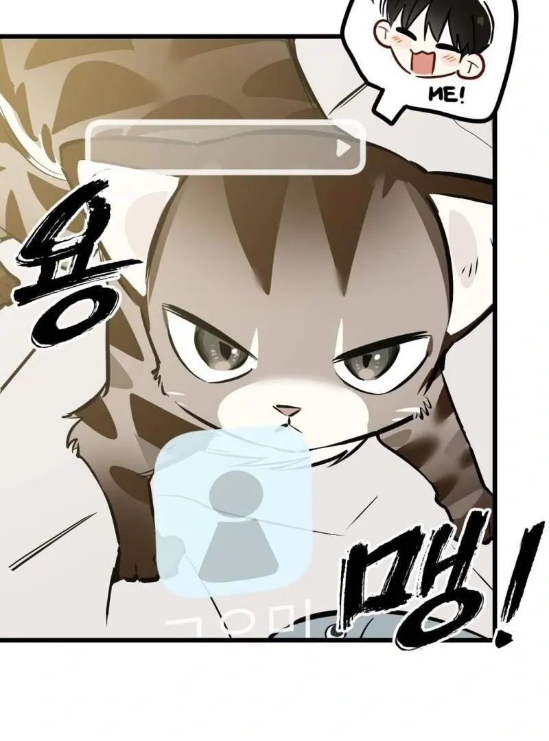 Give Birth to a Baby Wildcat for Me, Unless You Want to See Me Go Insane! Chapter 4 page 173 - 