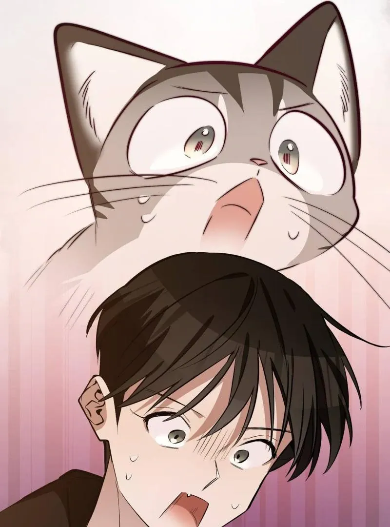 Give Birth to a Baby Wildcat for Me, Unless You Want to See Me Go Insane! Chapter 4 page 190 - 