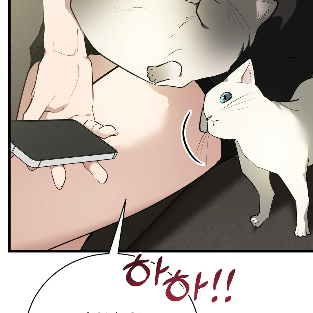 Give Birth to a Baby Wildcat for Me, Unless You Want to See Me Go Insane! Chapter 5 page 60 - 