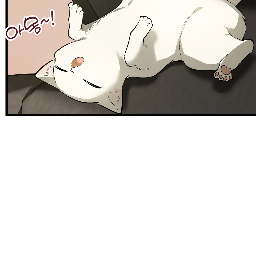 Give Birth to a Baby Wildcat for Me, Unless You Want to See Me Go Insane! Chapter 5 page 63 - 