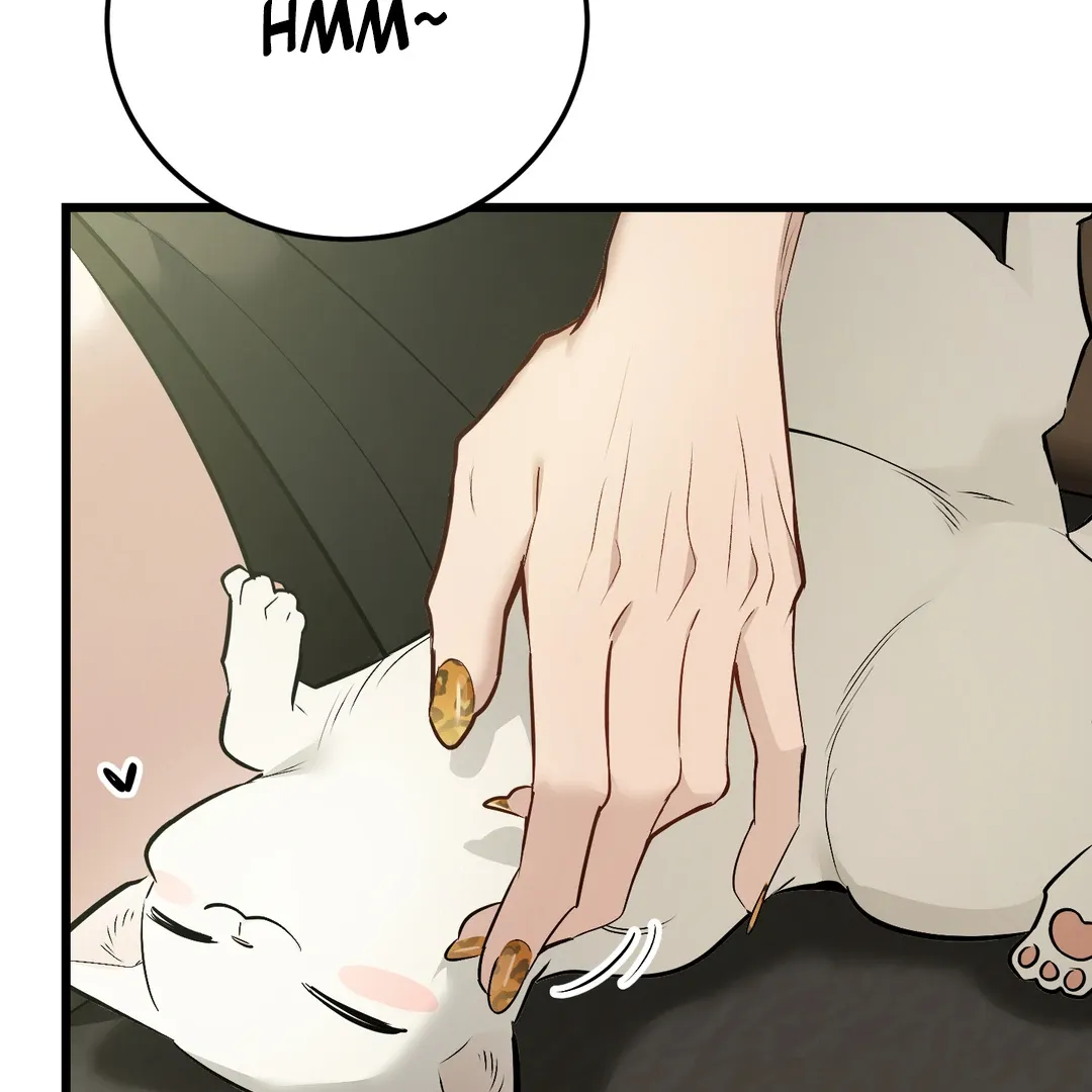 Give Birth to a Baby Wildcat for Me, Unless You Want to See Me Go Insane! Chapter 5 page 65 - 