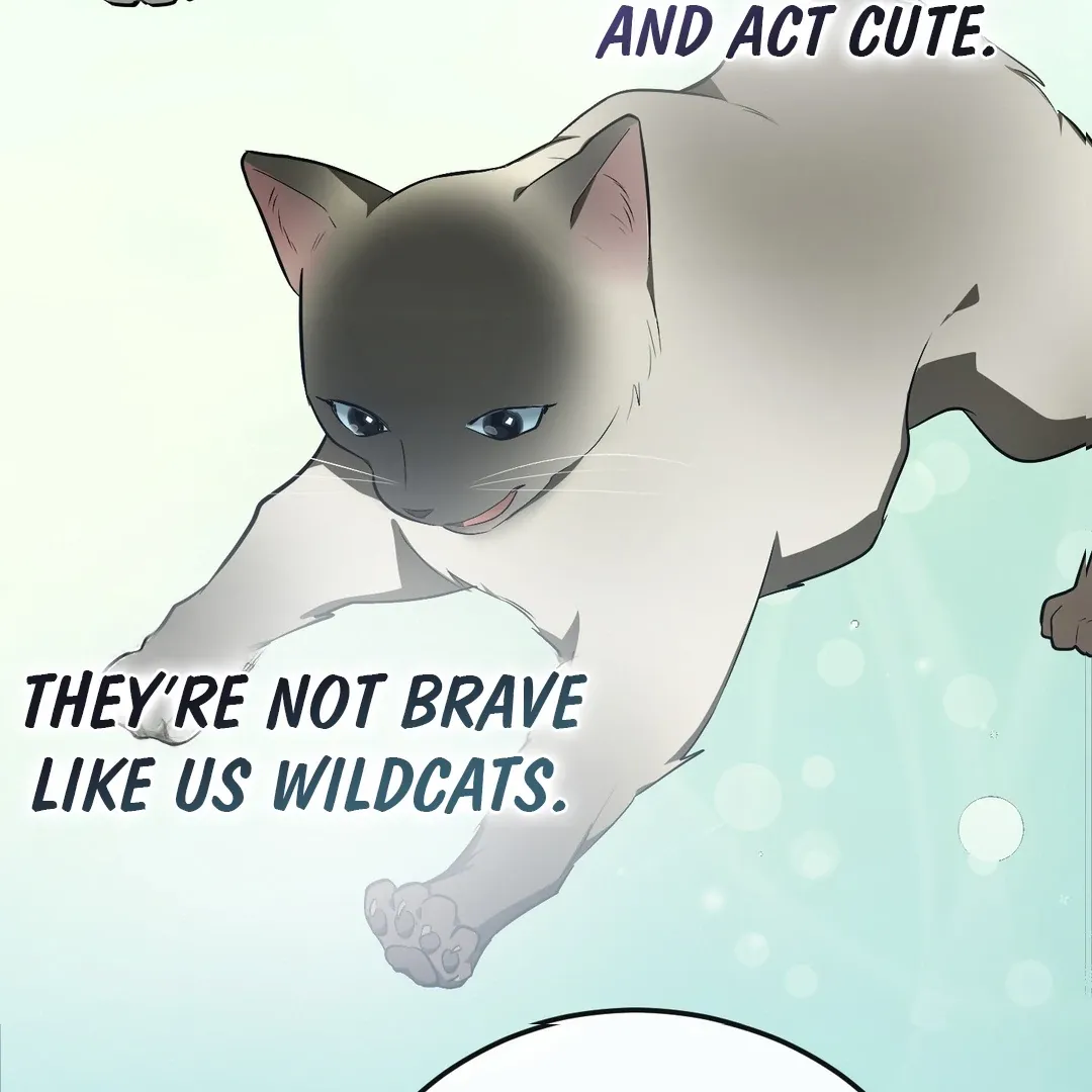 Give Birth to a Baby Wildcat for Me, Unless You Want to See Me Go Insane! Chapter 6 page 45 - 