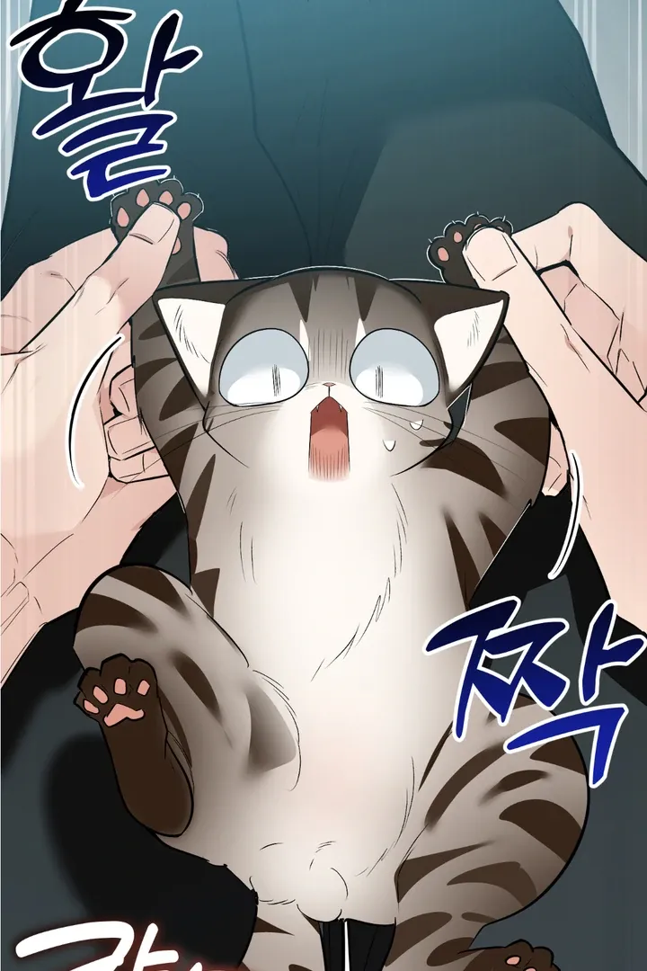 Give Birth to a Baby Wildcat for Me, Unless You Want to See Me Go Insane! Chapter 8 page 101 - 